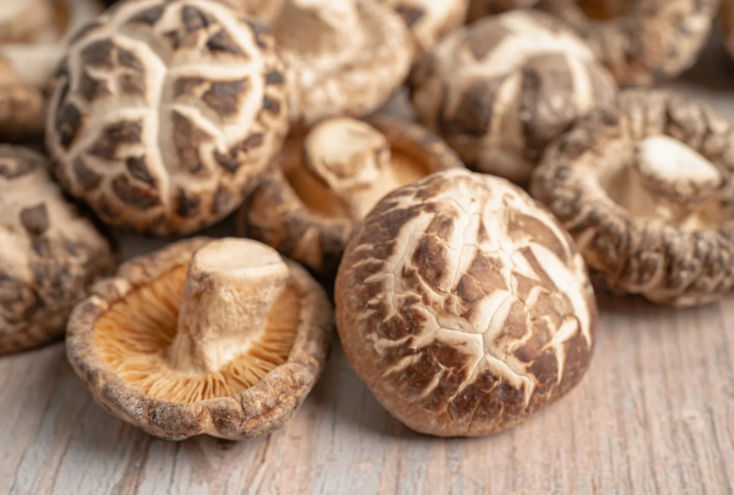 Shiitake Mushroom Chips | Sea Salt